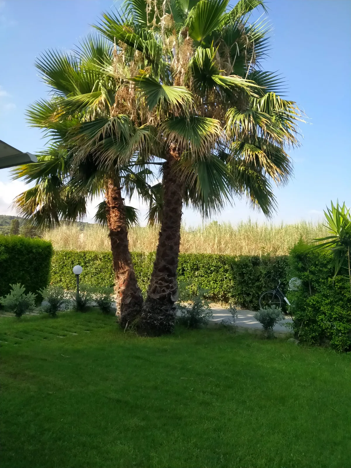 Villa in affitto a Campofelice di Roccella