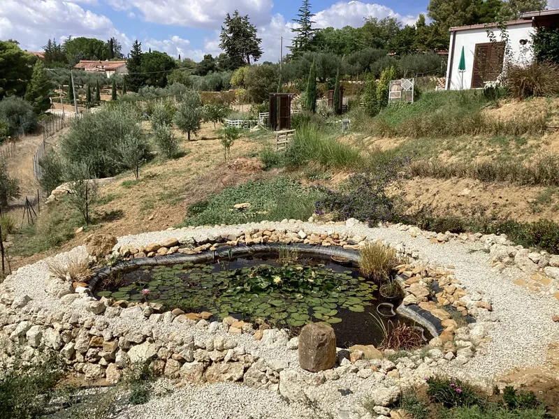 Case da Sogno in Sicilia · Agenzia immobiliare a Caltanissetta, 