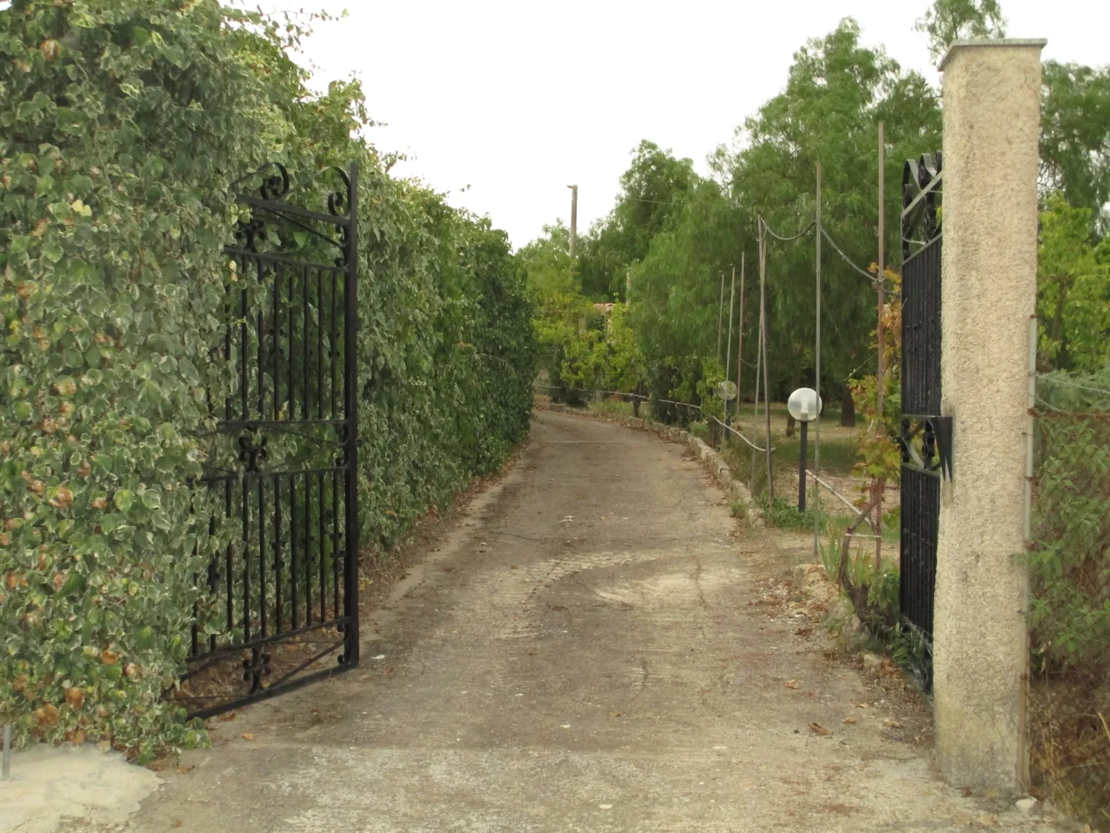 Villetta con giardino: la tua nuova vita tra sole e profumi d’agrumi