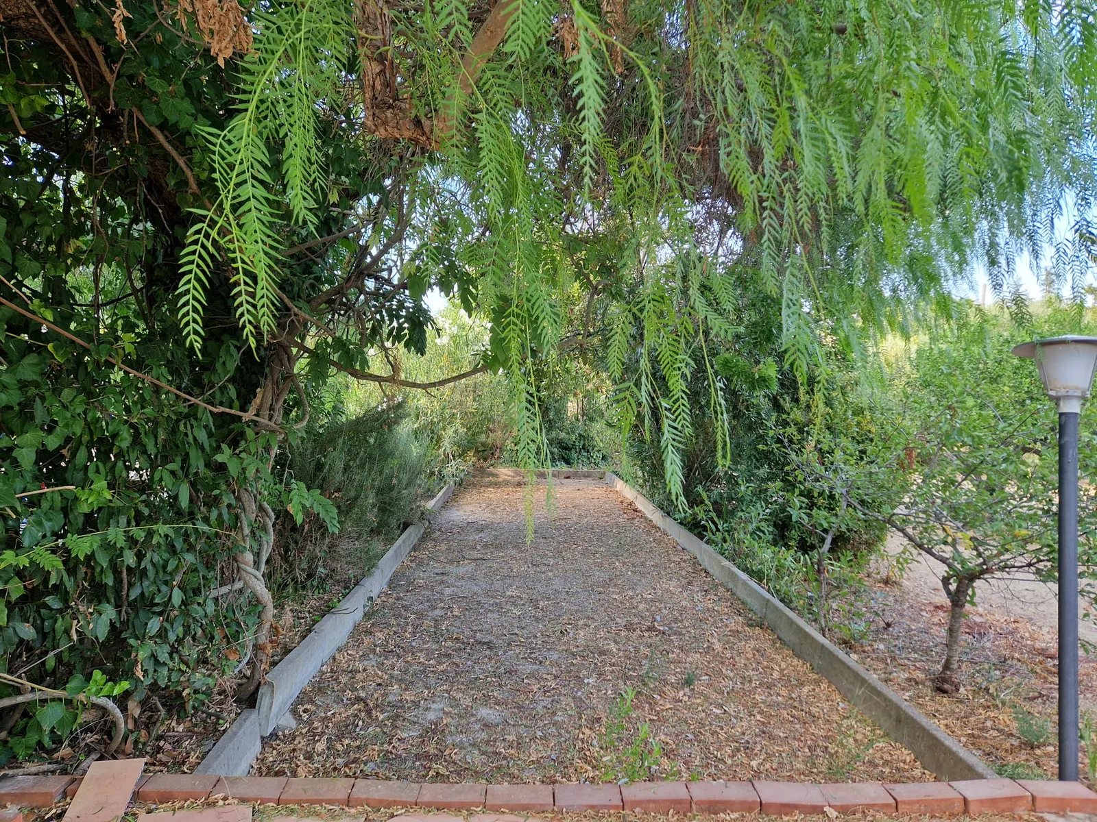 Villetta con giardino: la tua nuova vita tra sole e profumi d’agrumi
