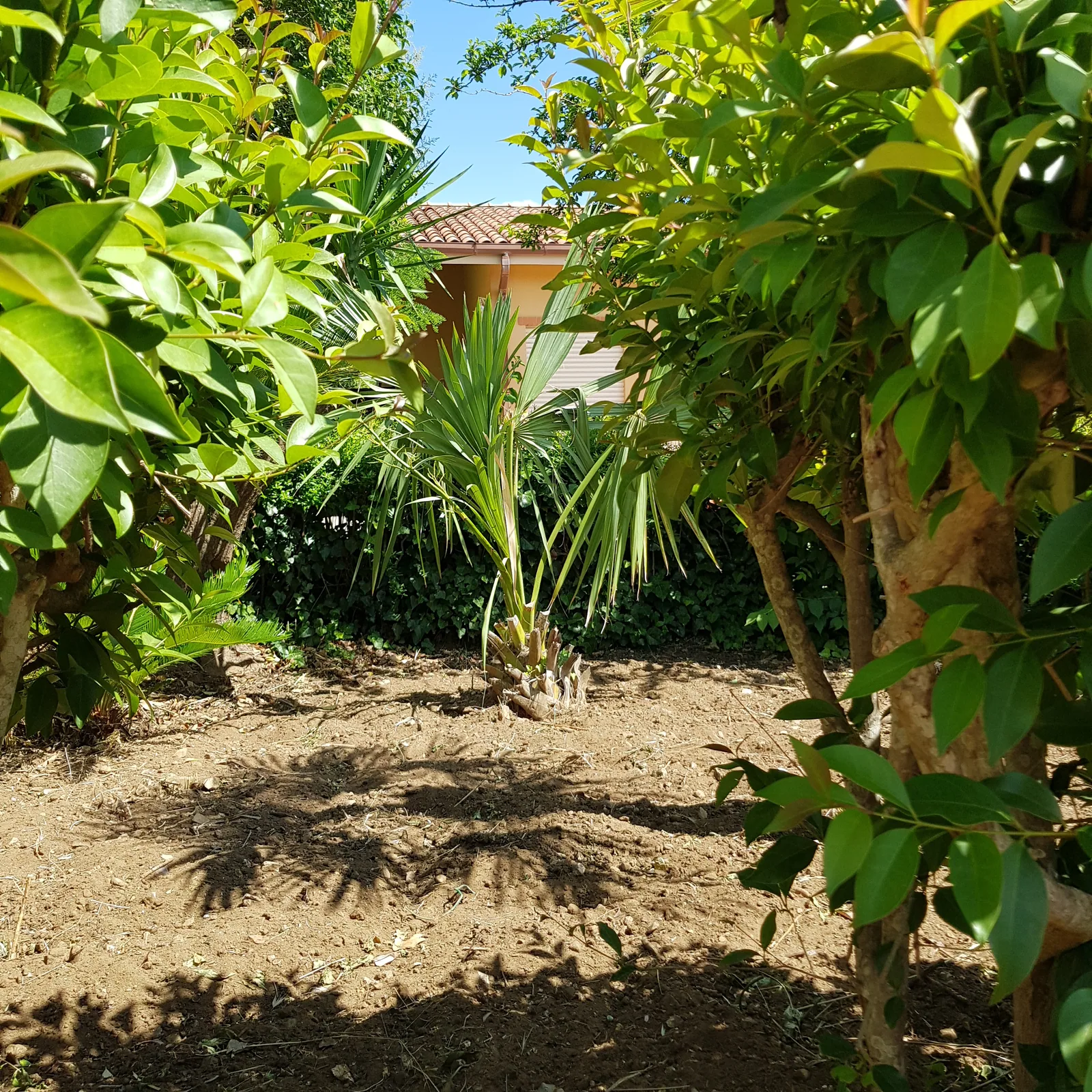 Villino panoramico